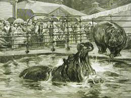 Sketch of Central Park Hippo circa 1900s
