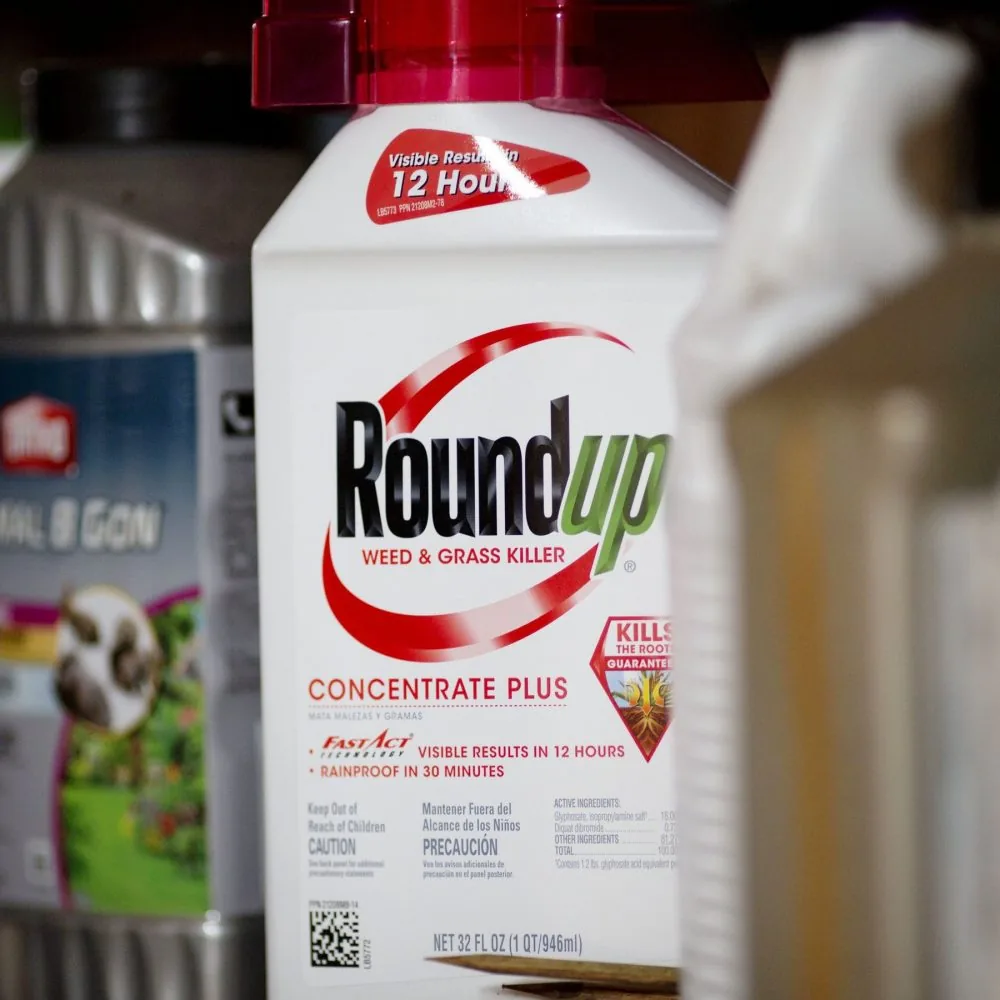 Bayer Roundup weed killer packaging and a legal settlement hearing in court
